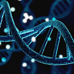 DNA