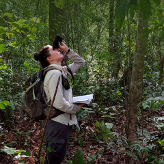 A researcher using binoculars to observe the jungle trees