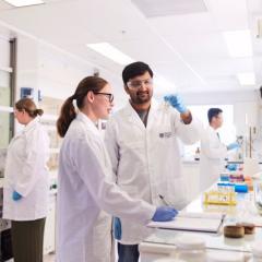 Two researchers at a lab looking at samples